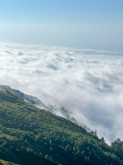 surreal landscape, a verdant hill covered in lush vegetation slopes down to a thick layer of fluffy...