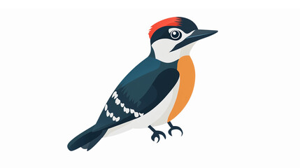Fototapeta premium Colorful Woodpecker Bird Illustration with Detailed Features for Nature and Wildlife Projects