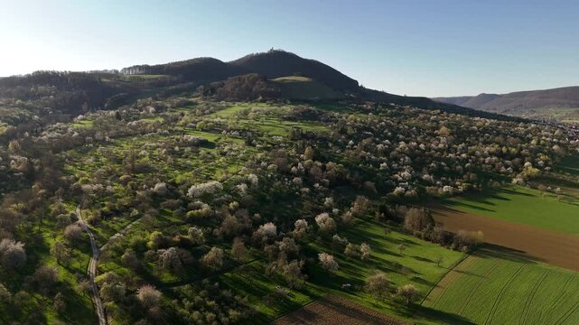 Fr&uuml;hling unter der Burg Teck.
Hoch oben thront die Burg Teck, w&auml;hrend sich zu ihren F&uuml;&szlig;en ein wahres Bl&uuml;tenparadies ausbreitet: Die Streuobstwiesen des Albvorlands stehen in voller Bl&uuml;te.