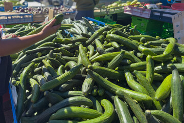 Telegraph cucumbers for sale at an outdoor market. At Avondale Sunday Market in Auckland. New...