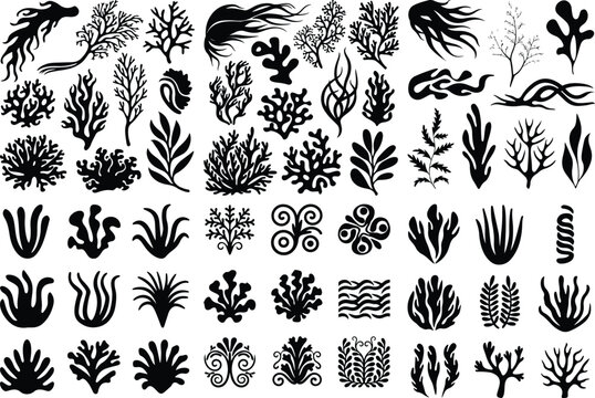 Algae Silhouette Set | Seaweed, Marine Plant and Ocean Life Vector