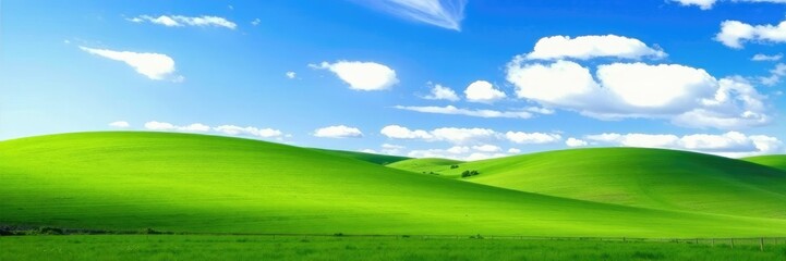 Fototapeta premium Green hills of rolling farmland under a brilliant blue sky with scattered clouds, sunny weather, fields