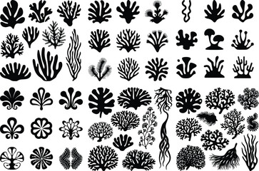 Algae Silhouette Set | Seaweed, Marine Plant and Ocean Life Vector