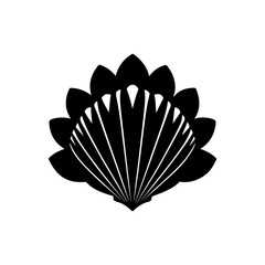 seashell on white background