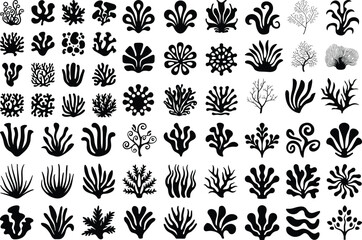 Algae Silhouette Set | Seaweed, Marine Plant and Ocean Life Vector
