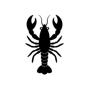 crayfish vector illustration