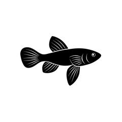 fish on a white background