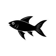 fish on a white background