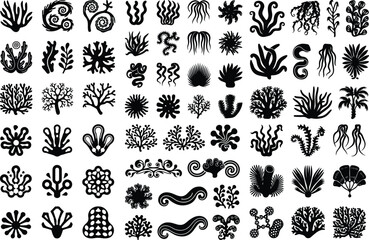 Algae Silhouette Set | Seaweed, Marine Plant and Ocean Life Vector