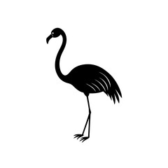 Obraz premium flamingo silhouette isolated on white background