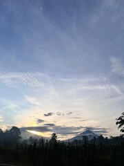 bright green rice fields under clear skies