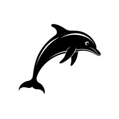dolphin isolated on white background