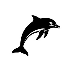 dolphin isolated on white background
