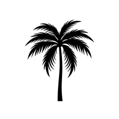 Obraz premium silhouette of palm trees
