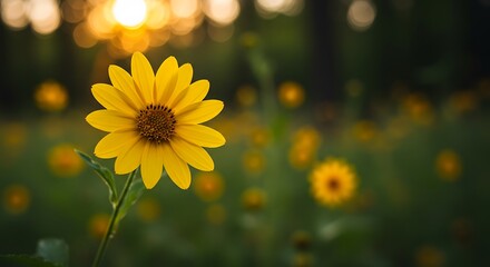 Obraz premium Golden Hour Bloom AI Generated