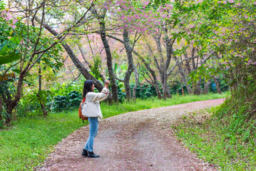 Fototapeta premium Asian woman travel blogger holding gimbal and dslr camera with nature background, content creator videographer social media influencer concept.