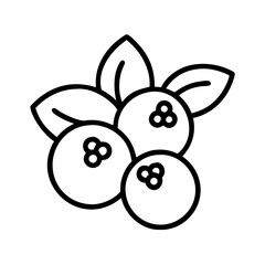 Berry fruit outline illustration for healthy food designs and organic product packaging vector graphic isolated