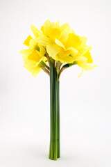 large beautiful bouquet of spring yellow daffodils close-up, on white background