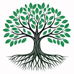 Obraz premium Banyan-tree-illustration-vector-design-with-a-white background.