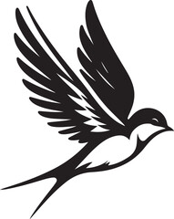  Swallow bird illustration