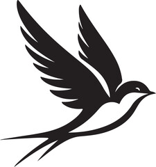  Swallow bird illustration