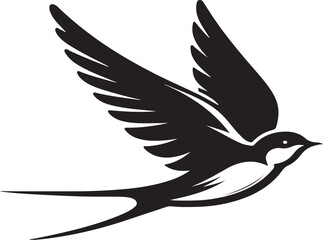  Swallow bird illustration