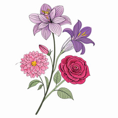 Flower coloring book with color concept for kids and adults . Coloring book. Summer wild meadow flowers. Cartoon vector 