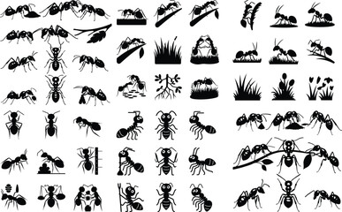 Ant Silhouette Set | Insect, Ant Colony and Worker Vector Collection