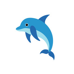 dolphin isolated on white background