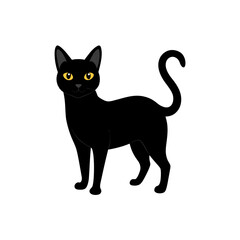 Obraz premium black cat on white background