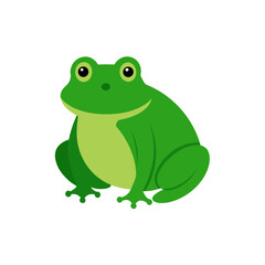Obraz premium frog on white background