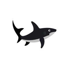 Obraz premium vector illustration of a shark