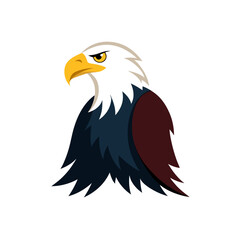 Obraz premium bald eagle isolated on white background