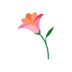 vector illustration of a flower