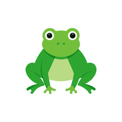 Fototapeta premium green frog on white background
