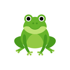 frog on white background