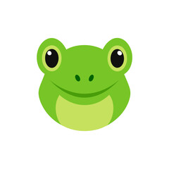 Obraz premium green frog isolated on white