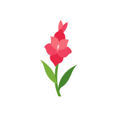 Fototapeta premium pink rose isolated on white background