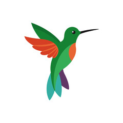 Obraz premium hummingbird and flower vector