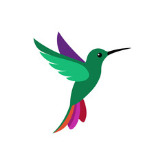 Obraz premium hummingbird 