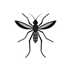 vector mosquito isolated on white background