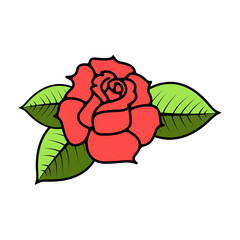 roses with leaves isolated on white background. Design elements in vector.