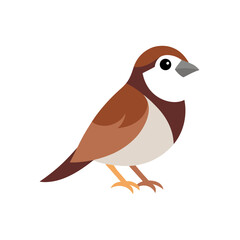 vector illustration of a bird