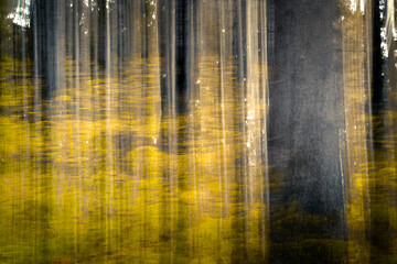 Dreamy color blending and soft imagery is created by vertical camera movement during exposure.