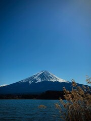 Fototapeta premium mount fuji in japan