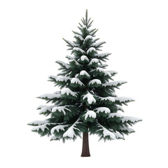 Fototapeta premium Snowy-Christmas-Tree-isolated-on-black-background