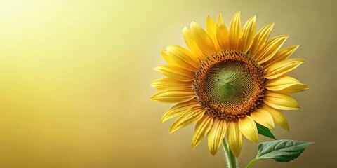 Obraz premium A Vibrant Single Sunflower with Golden Petals Against a Soft Yellow Background, Symbolizing Summer, Happiness, and the Beauty of Nature