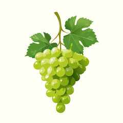 Fresh Green Grape Bunch with Green Leaves - Vector Illustration