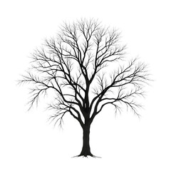 Obraz premium Abstract_Tree_White_Leaves_Black_Background
