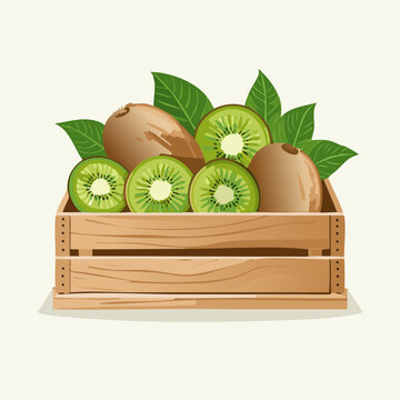 kiwi fruit wooden crate green leaves clip art preview